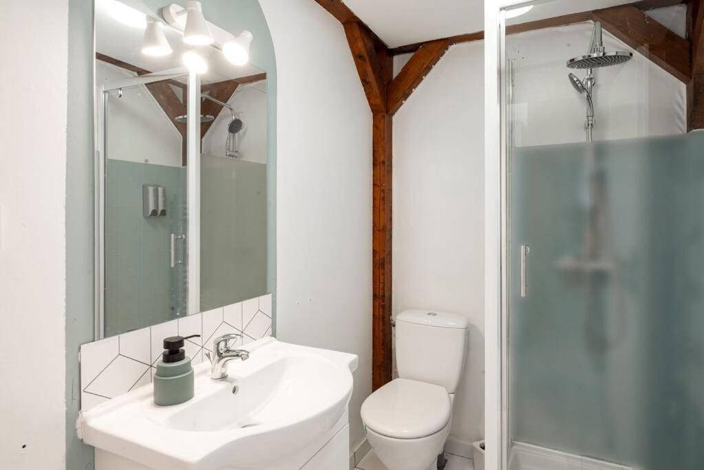 Charmant Studio Arbore Et Climatise Carcassone Exterior photo